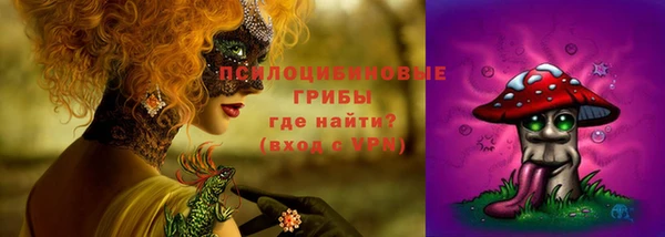 не бодяженный Верхний Тагил